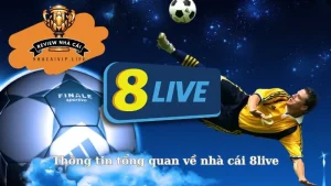 Thông tin tổng quan về nhà cái 8live