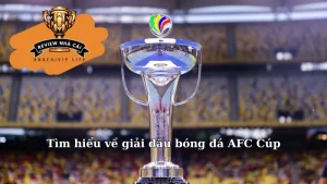 Tìm hiểu về giải đấu bóng đá AFC Cúp