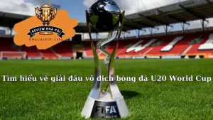 Tìm hiểu về giải đấu vô địch bóng đá U20 World Cup